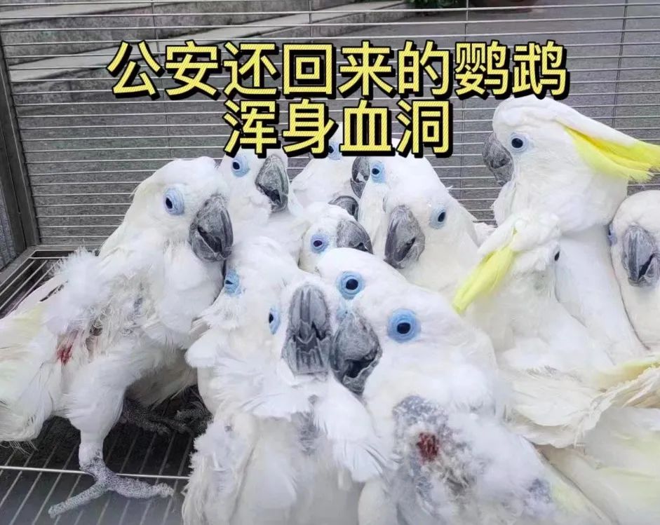 ͼƬ